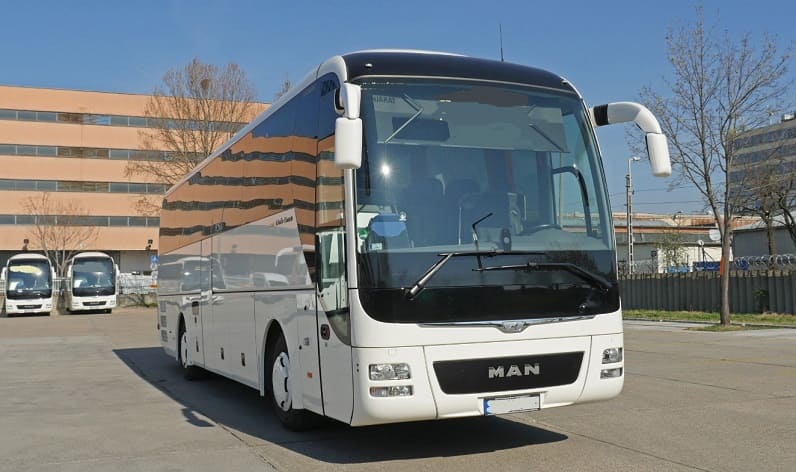 Central Denmark Region: Buses operator in Horsens in Horsens and Denmark
